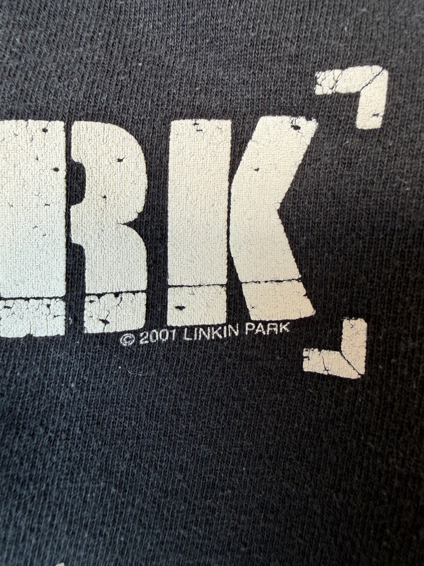 2001 Y2K VINTAGE LINKIN PARK THEORY DOUBLE SIDED HOODIE (L/XL)