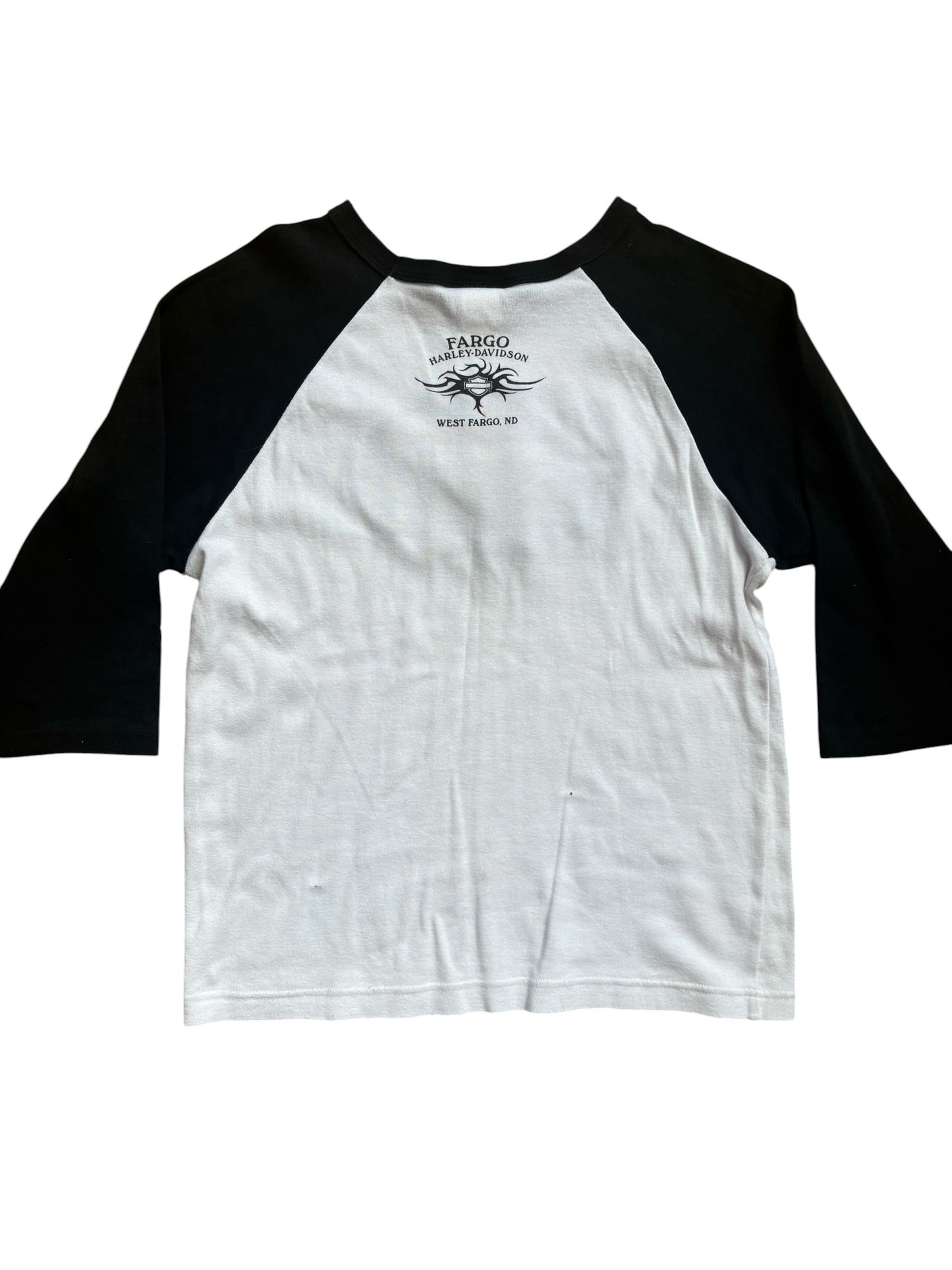 Y2K VINTAGE HARLEY DAVIDSON HOLOGRAM RAGLAN (XL)