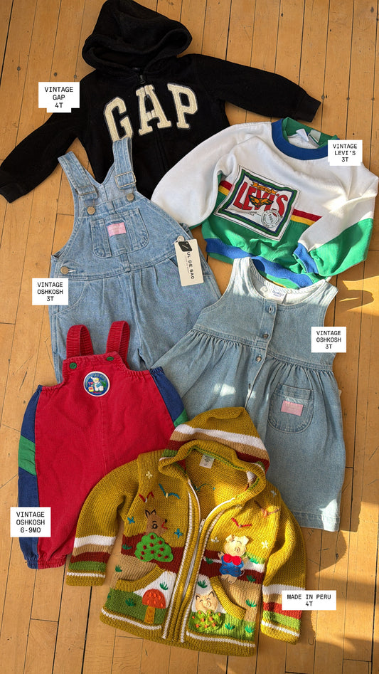 MADE IN PERU PARK LIFE ZIP UP SWEATER (4T)