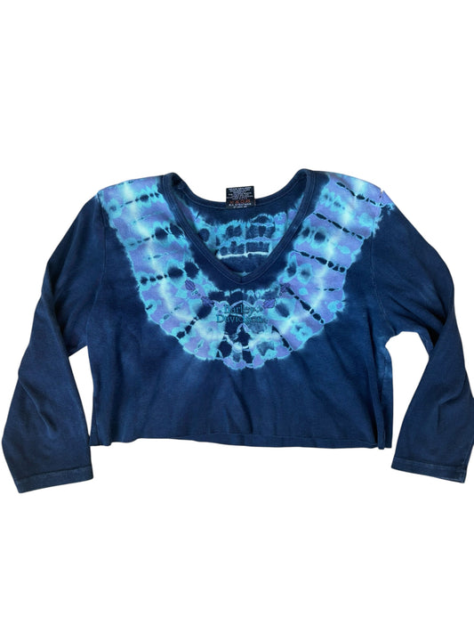 Y2K VINTAGE HARLEY DAVIDSON BLUE/PURPLE TIE DYE TOP (XXL)