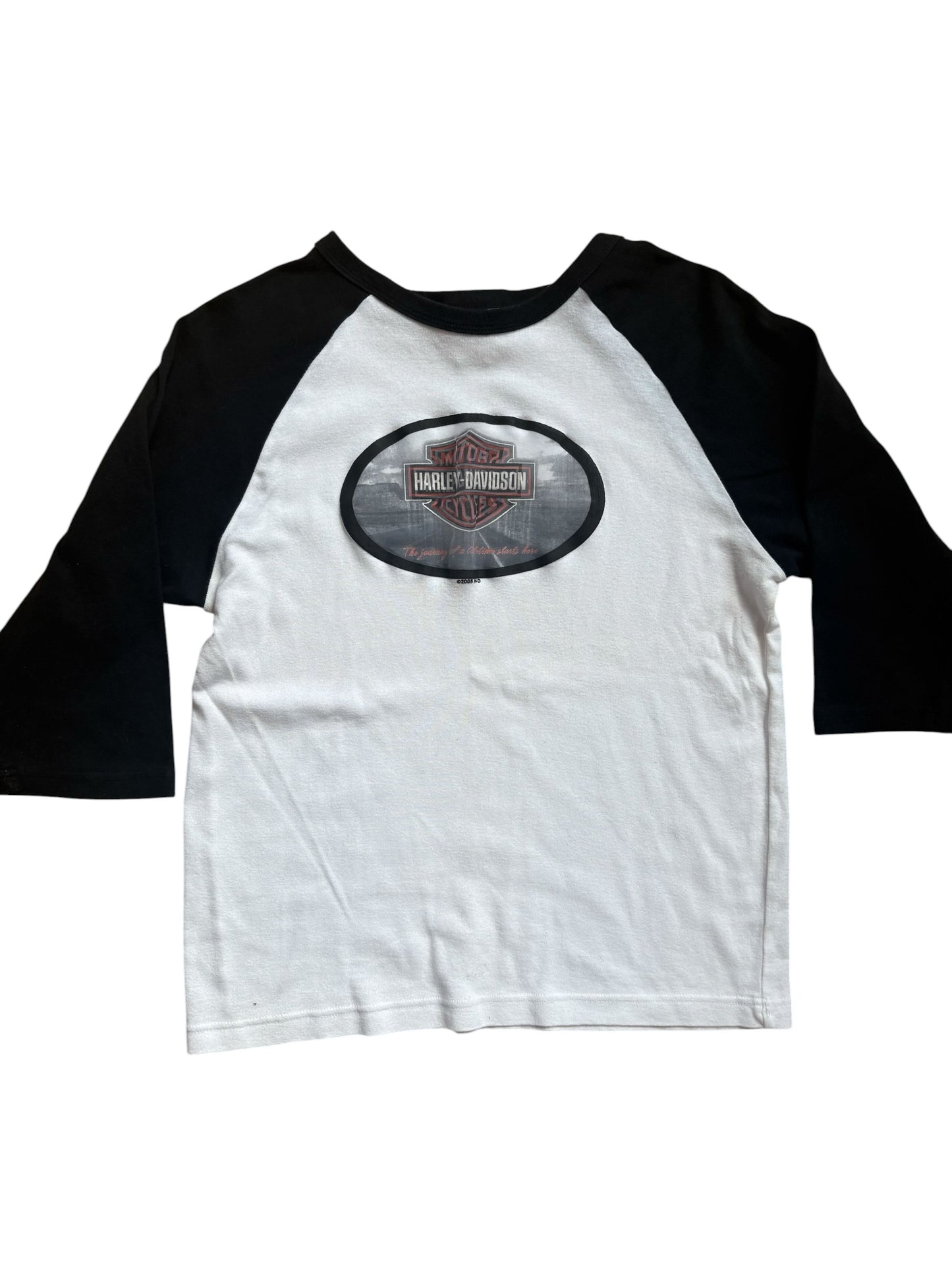 Y2K VINTAGE HARLEY DAVIDSON HOLOGRAM RAGLAN (XL)