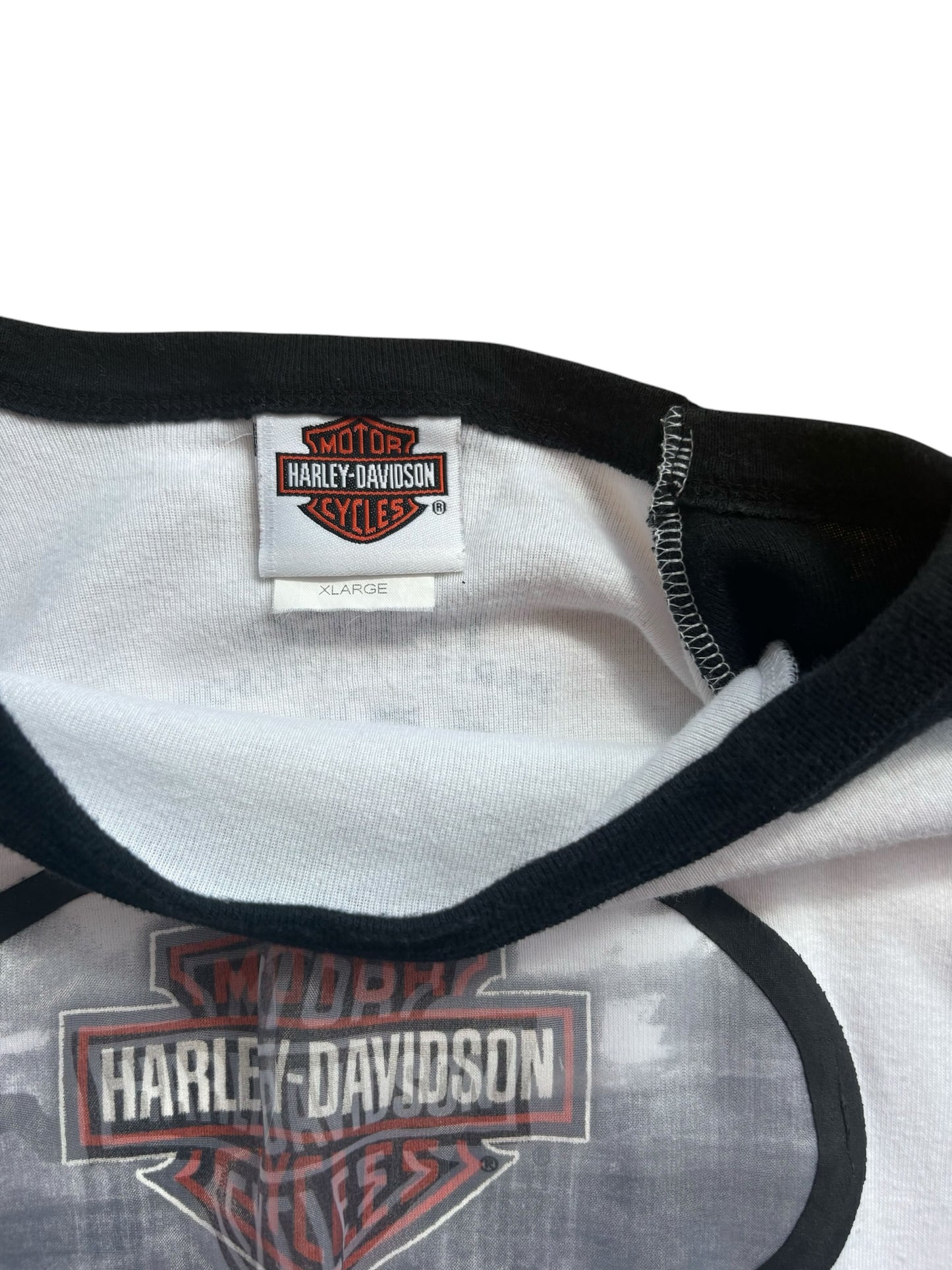 Y2K VINTAGE HARLEY DAVIDSON HOLOGRAM RAGLAN (XL)