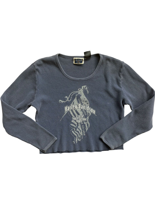 Y2K VINTAGE HARLEY DAVIDSON BIKER BLUES THERMAL (L)